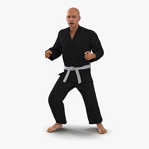 Karate Fighter Black Suit Rigged 3D Model