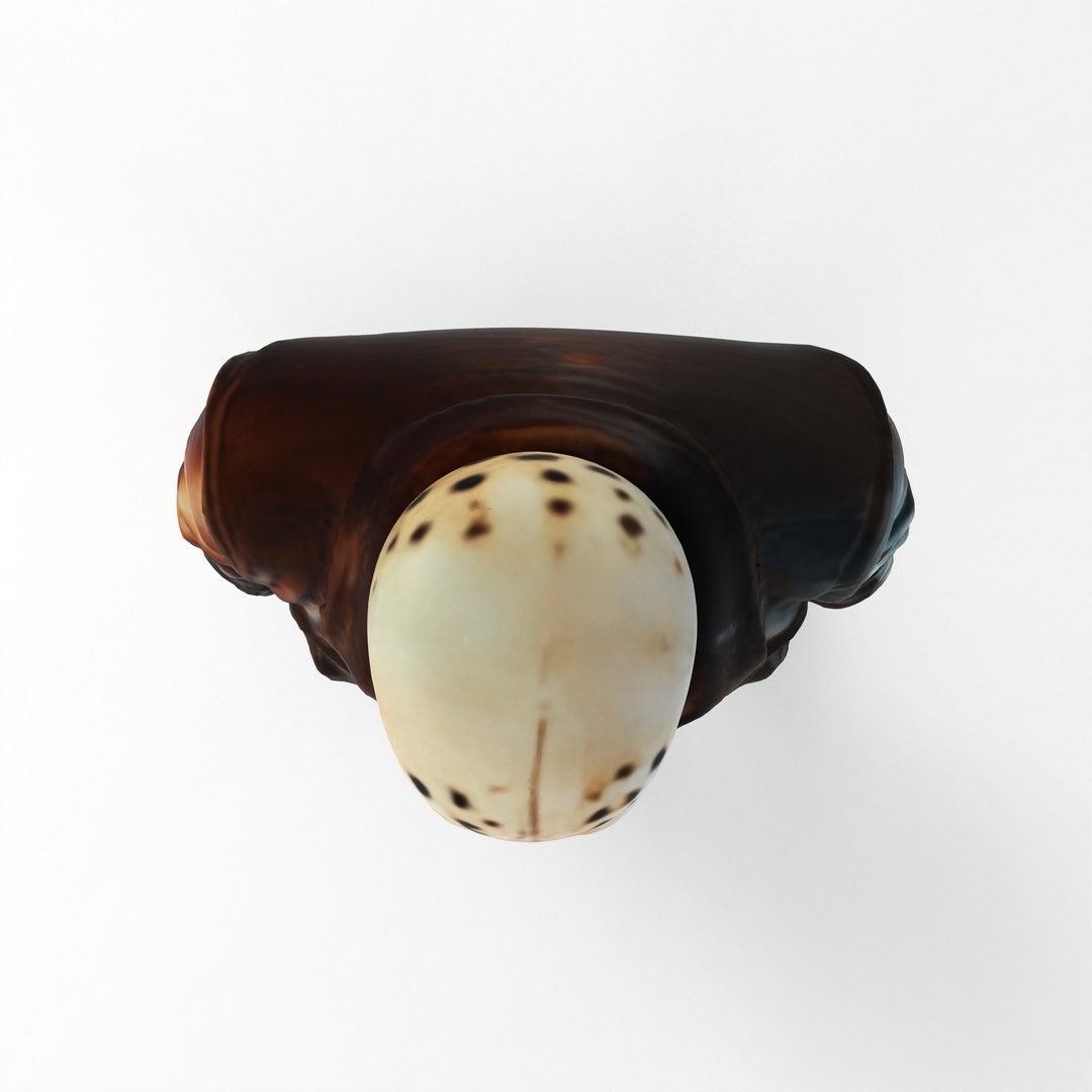 3D Horror Slasher Killer - 3D Character Model Jason-Inspired https://p.turbosquid.com/ts-thumb/V8/UYx0o4/9A/untitled.722/jpg/1791587620/1920x1080/fit_q87/41926ccca06bca6efd784683524b5447daf385bb/untitled.722.jpg