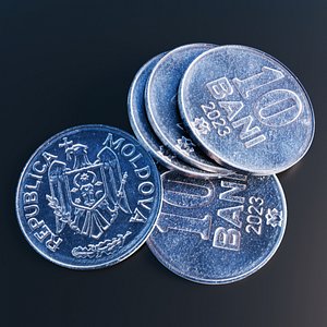 Moldovan Leu Coin 3D model
