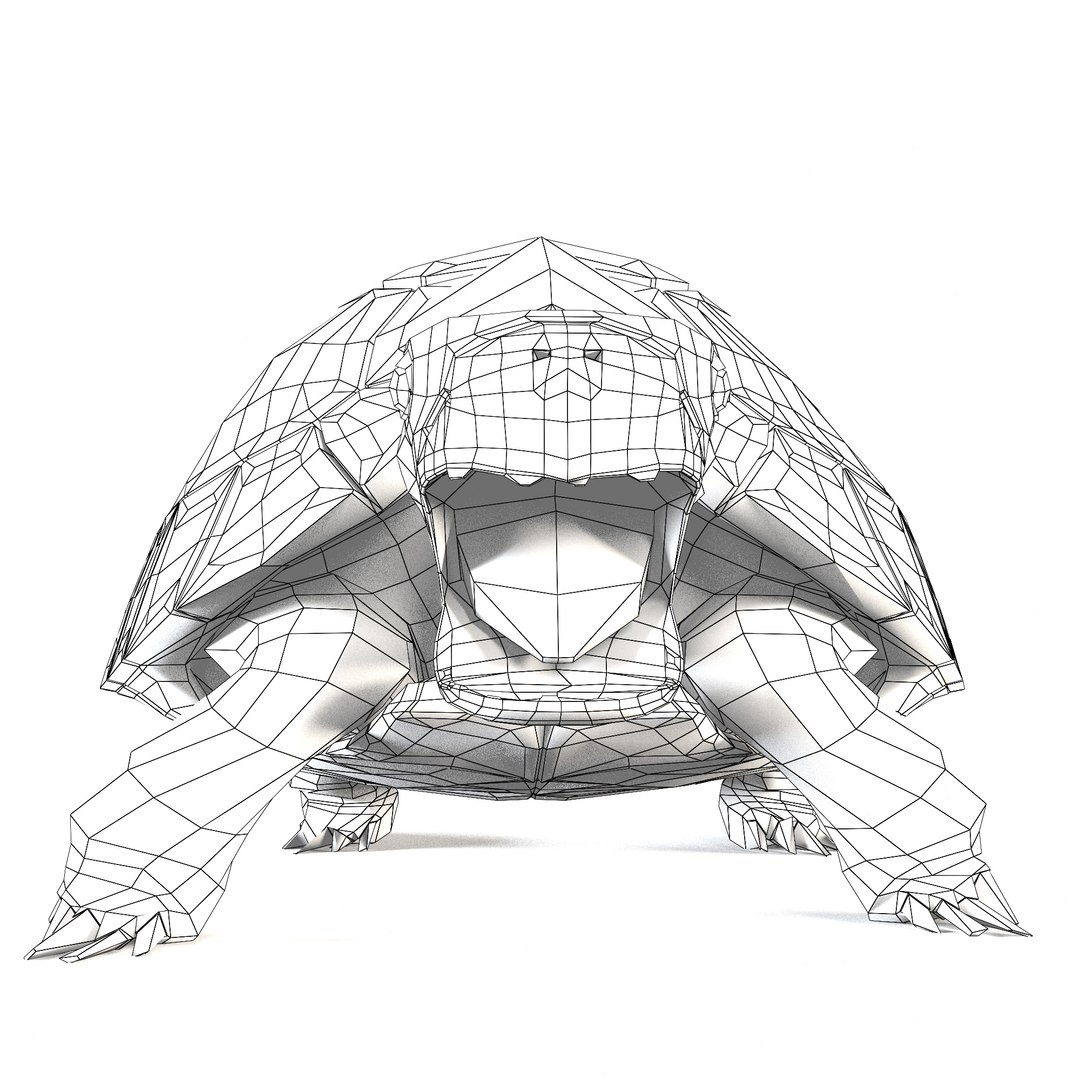 3D Turtles model - TurboSquid 2061602