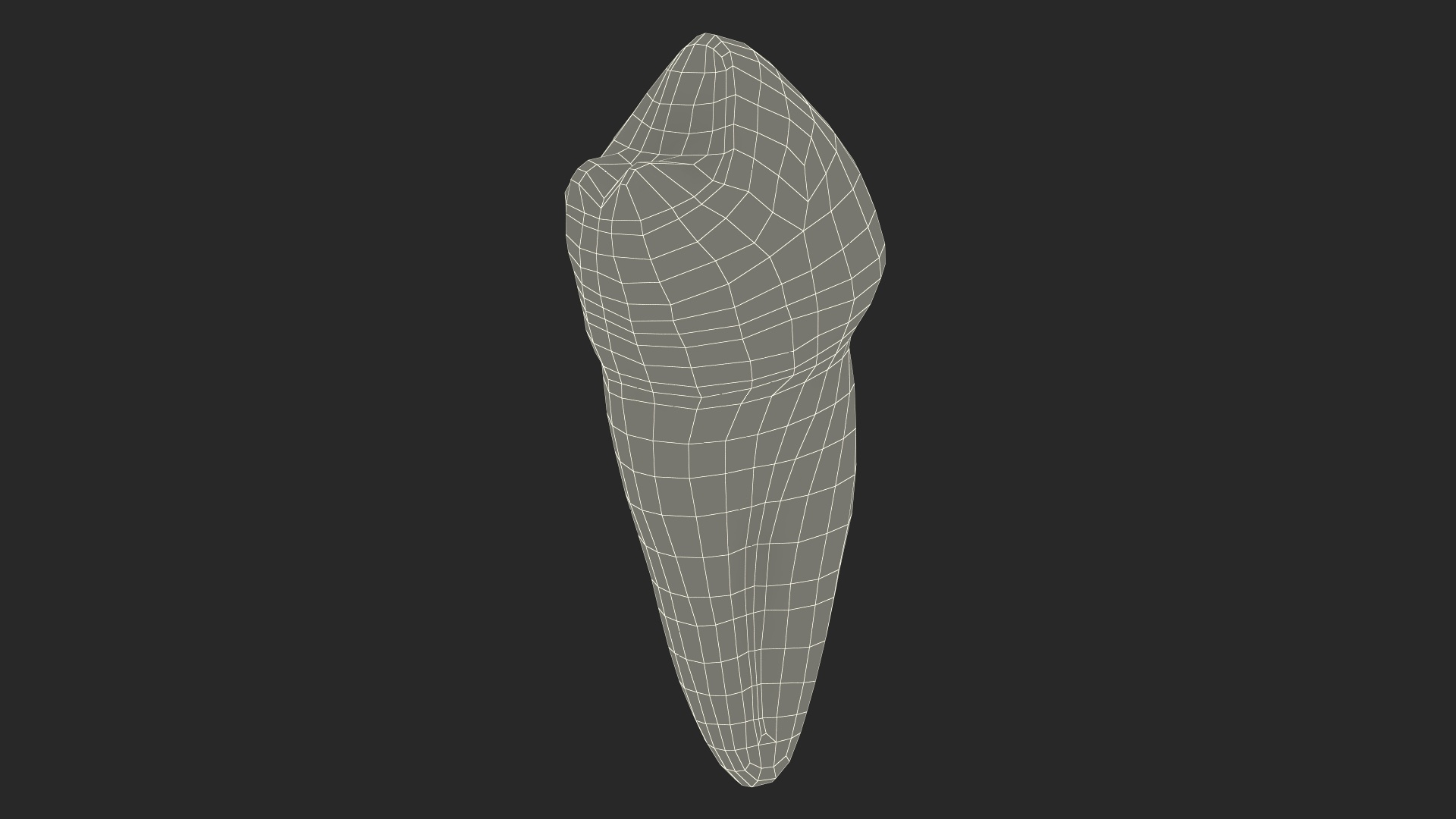 Canine tooth human 3d turbosquid 2139732