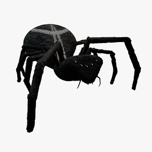 Spider model 3D