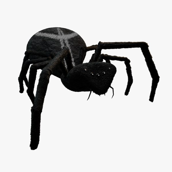 Spider model 3D - TurboSquid 1959181