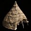 PRIMITIVE AFRICAN PRIMAL HUT SHELTER HOUSE COTTAGE COLLECTION