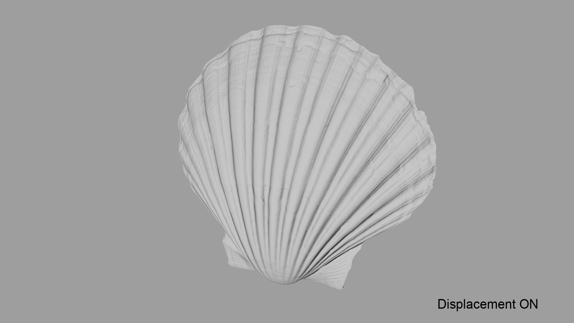 3D sea shell model - TurboSquid 1495817