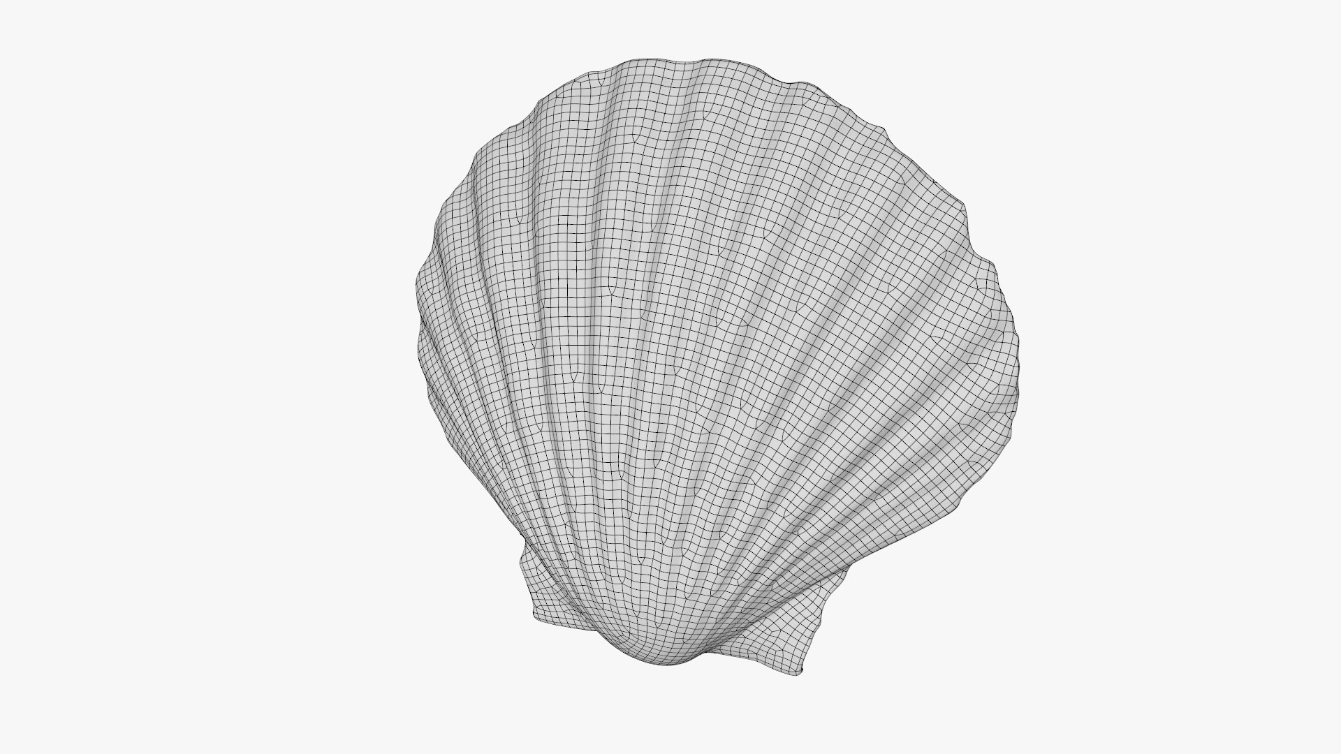 3D sea shell model - TurboSquid 1495817
