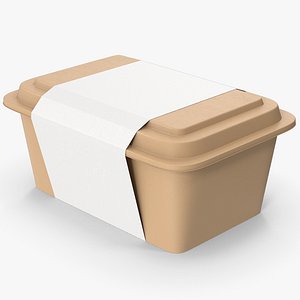 3D Food Container model
