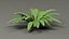 Tropical Plants Collection - 10 Realistic Models