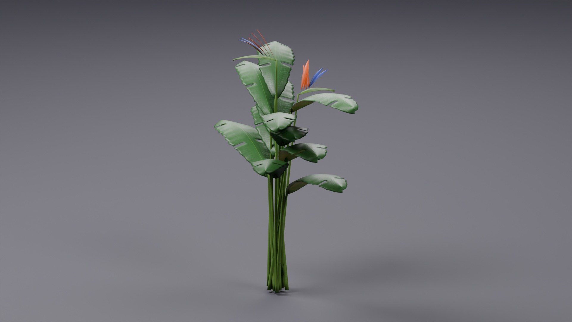 Tropical Plants Collection - 10 Realistic Models model https://p.turbosquid.com/ts-thumb/V9/FRa5eO/4r/product_03/jpg/1793012960/1920x1080/fit_q87/06a2734f8d876fb017889de3b8726956562cfe69/product_03.jpg