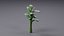 Tropical Plants Collection - 10 Realistic Models