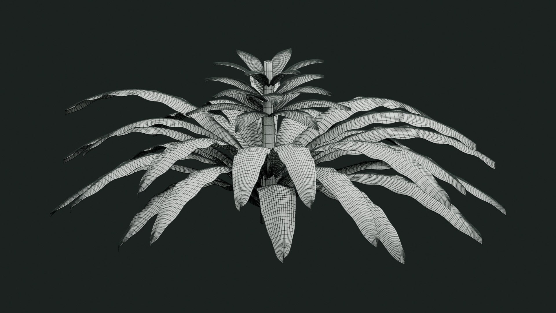 Tropical Plants Collection - 10 Realistic Models model https://p.turbosquid.com/ts-thumb/V9/FRa5eO/59/wireframe/jpg/1793021835/1920x1080/fit_q87/180c9d2c2ee27b78152c7301b7e58e5e79ecbb93/wireframe.jpg