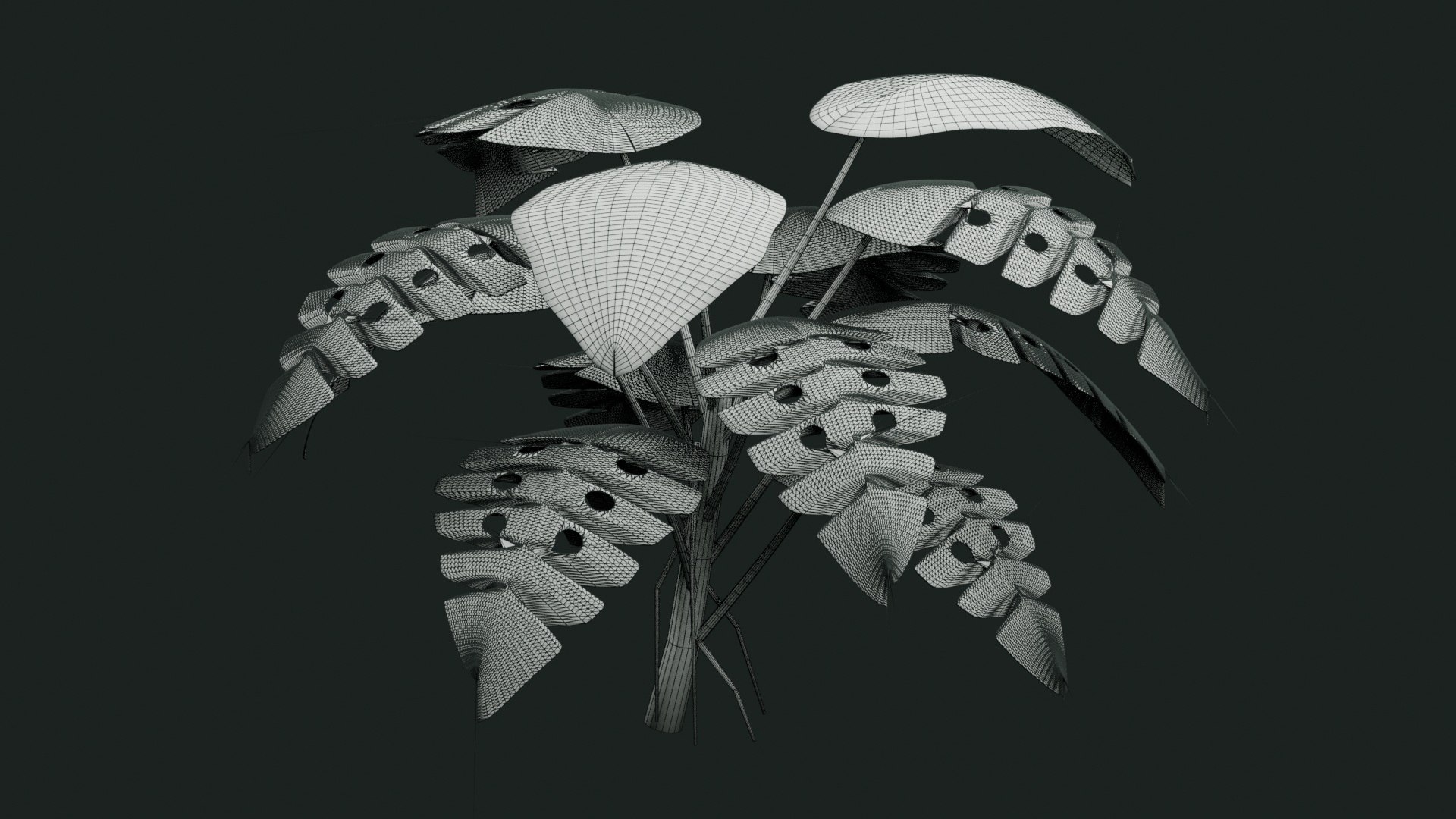 Tropical Plants Collection - 10 Realistic Models model https://p.turbosquid.com/ts-thumb/V9/FRa5eO/Bh/wireframe/jpg/1793024464/1920x1080/fit_q87/c70b8c75a45a5f88009e506bc016d9fa1f32a57e/wireframe.jpg