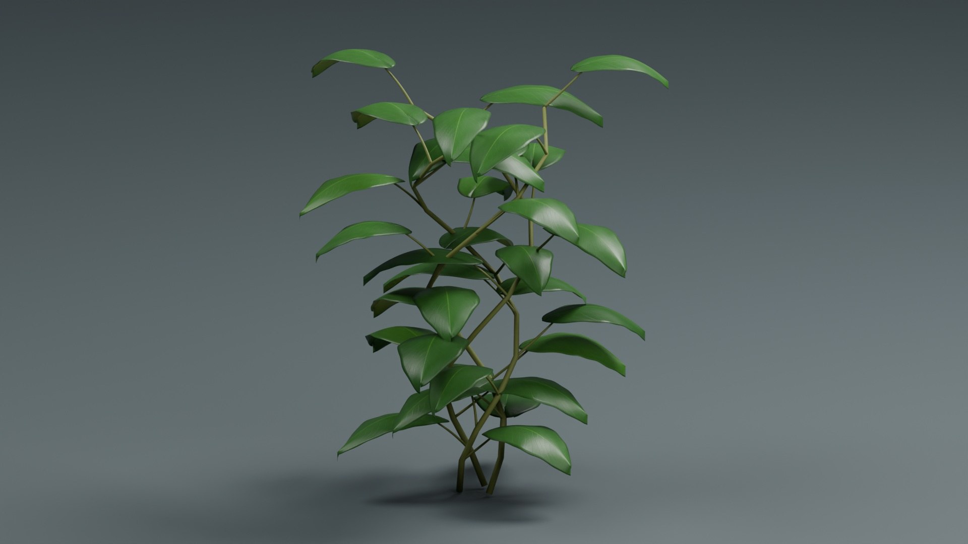 Tropical Plants Collection - 10 Realistic Models model https://p.turbosquid.com/ts-thumb/V9/FRa5eO/Gj/product_01/jpg/1793026114/1920x1080/fit_q87/b03ffd731073dd13707b23703220292ff4188bf6/product_01.jpg