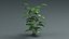Tropical Plants Collection - 10 Realistic Models