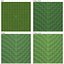 Tropical Plants Collection - 10 Realistic Models