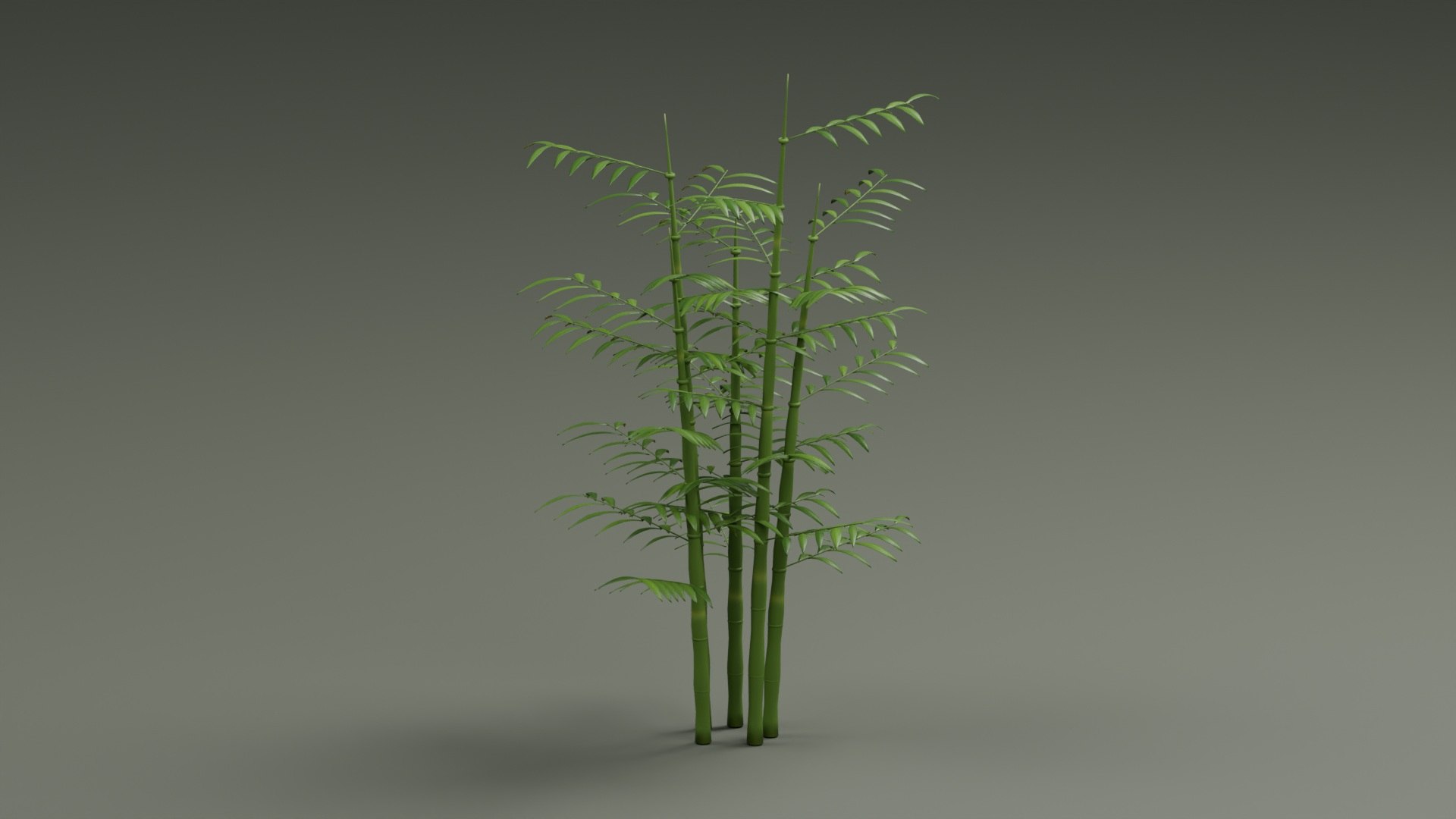 Tropical Plants Collection - 10 Realistic Models model https://p.turbosquid.com/ts-thumb/V9/FRa5eO/Lq/product_01/jpg/1793011826/1920x1080/fit_q87/3ace4709c1ba5e83c7f3aeb1ced37d0a674d8fab/product_01.jpg