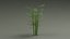 Tropical Plants Collection - 10 Realistic Models