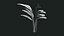 Tropical Plants Collection - 10 Realistic Models
