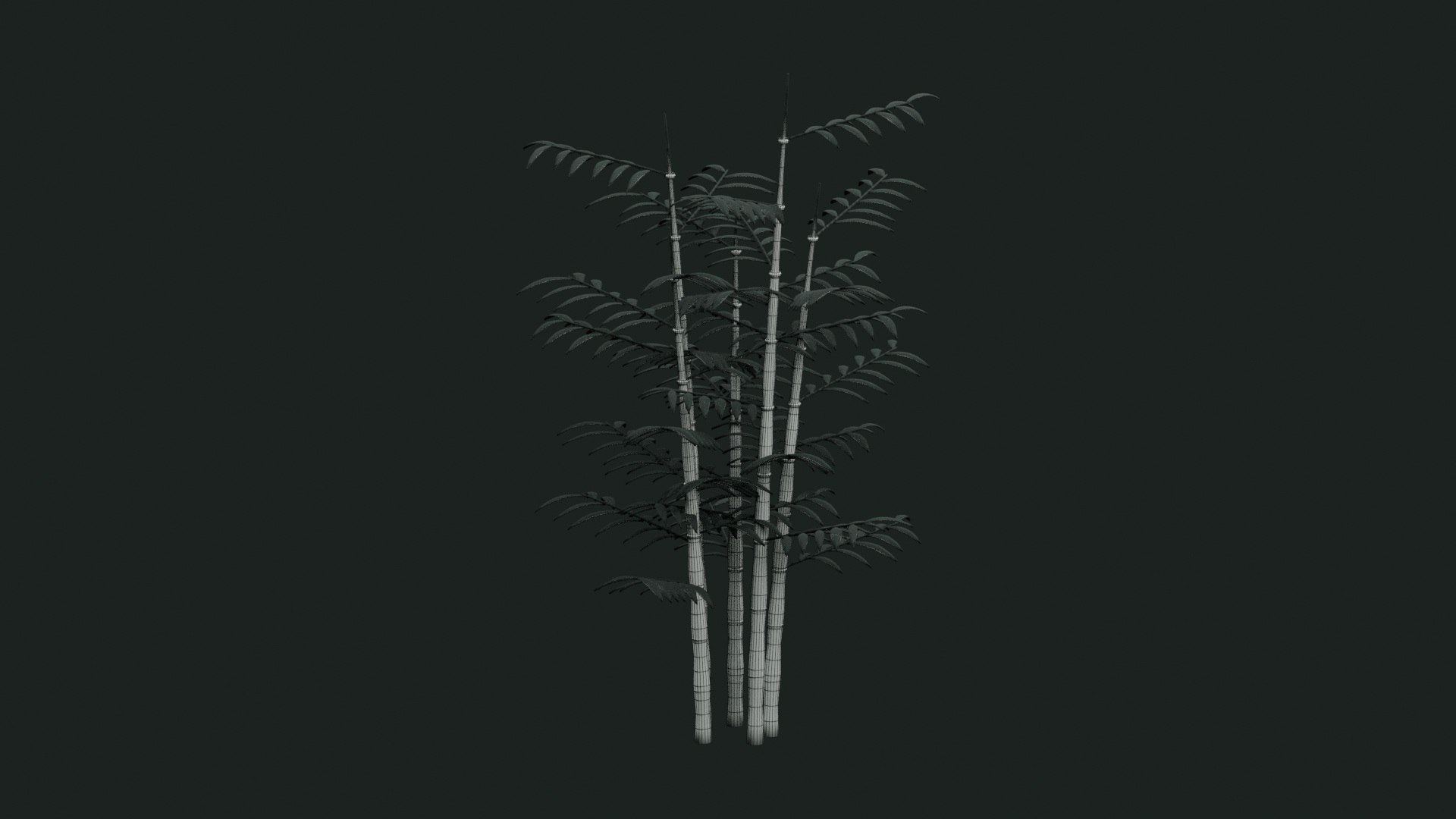 Tropical Plants Collection - 10 Realistic Models model https://p.turbosquid.com/ts-thumb/V9/FRa5eO/Mz/wireframe/jpg/1793011828/1920x1080/fit_q87/6abf9a118d4309947808870f87006ae2658718d7/wireframe.jpg
