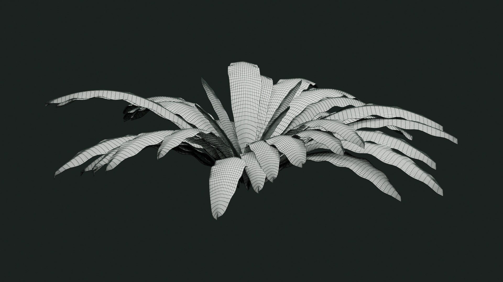 Tropical Plants Collection - 10 Realistic Models model https://p.turbosquid.com/ts-thumb/V9/FRa5eO/QK/wireframe/jpg/1793013687/1920x1080/fit_q87/497e7358872b590f6c1deaef4bb7a8a1265c1333/wireframe.jpg