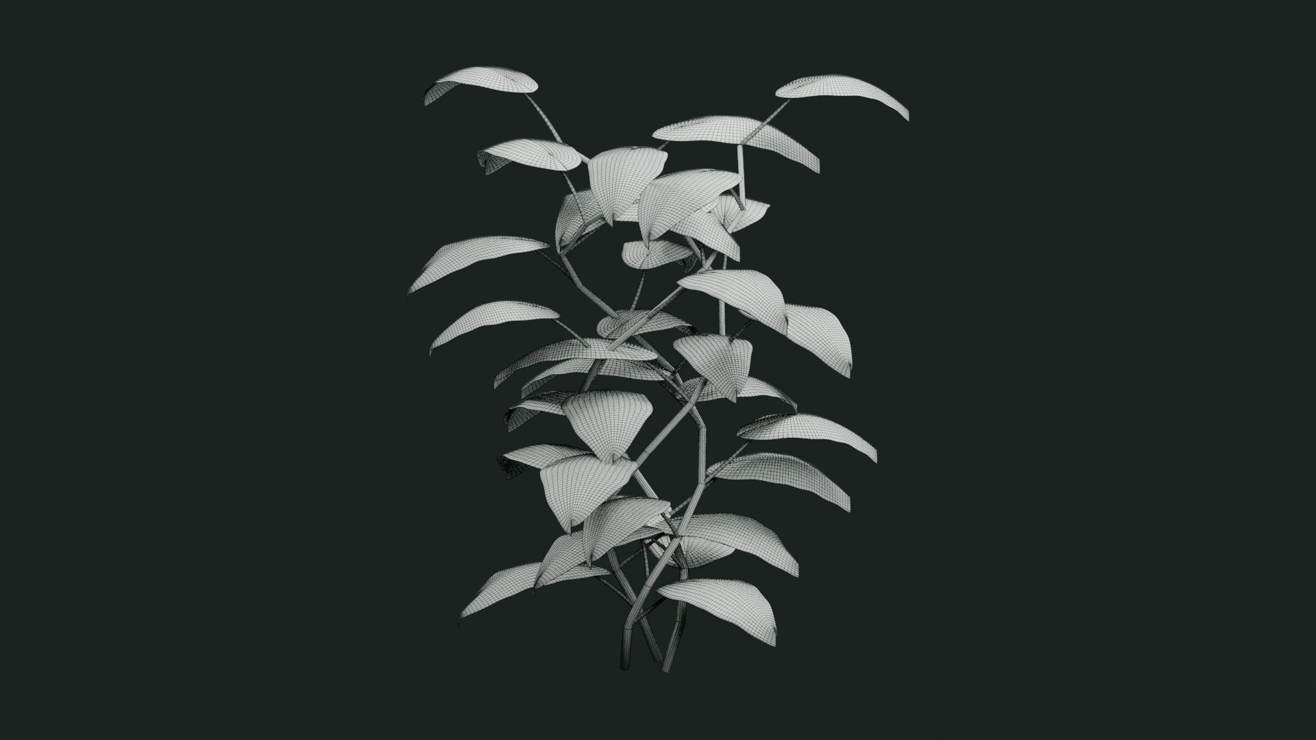 Tropical Plants Collection - 10 Realistic Models model https://p.turbosquid.com/ts-thumb/V9/FRa5eO/Qf/wireframe/jpg/1793026120/1920x1080/fit_q87/74fa00e86ffcdb7bf10e34214c63bc976341b5ee/wireframe.jpg