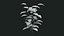 Tropical Plants Collection - 10 Realistic Models
