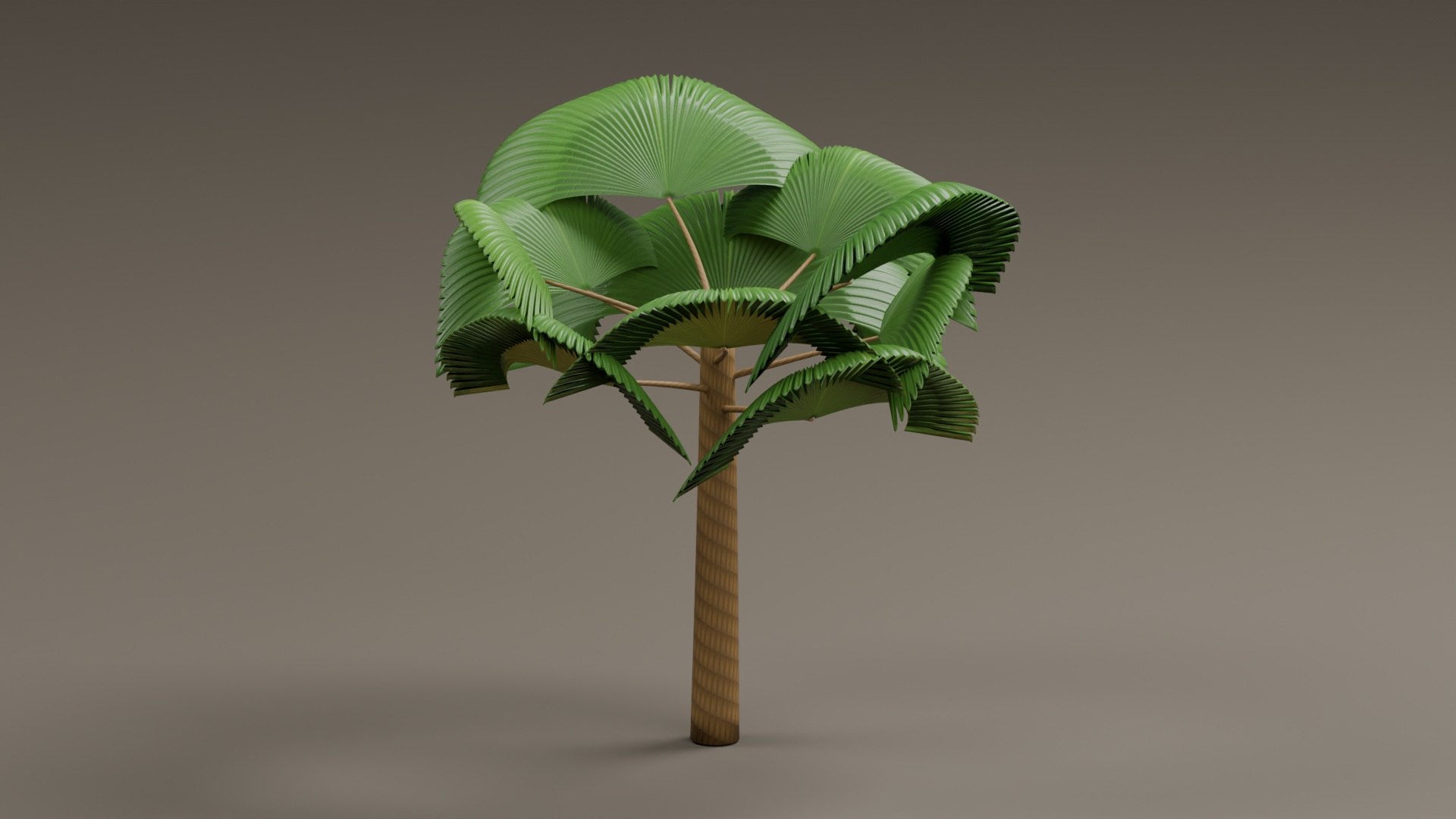 Tropical Plants Collection - 10 Realistic Models model https://p.turbosquid.com/ts-thumb/V9/FRa5eO/Qh/product_01/jpg/1793024204/1920x1080/fit_q87/81e232d705280d185e2876ed4f18cca3bc6c5afb/product_01.jpg
