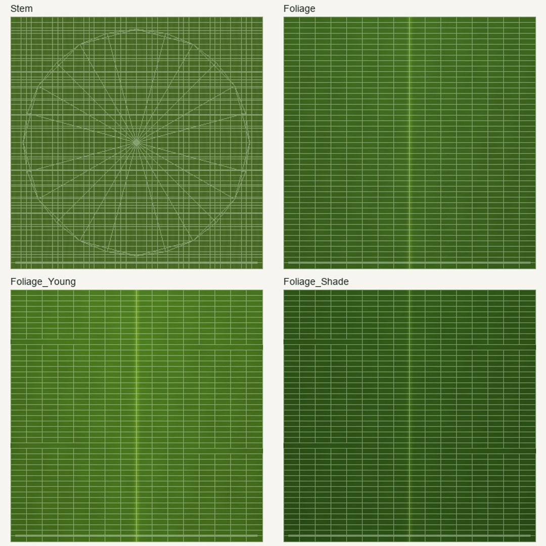 Tropical Plants Collection - 10 Realistic Models model https://p.turbosquid.com/ts-thumb/V9/FRa5eO/T5/uv_layout/png/1793012460/1920x1080/fit_q87/01b5b5e66fe0c8b827aa12d2cb3240c45dda4e45/uv_layout.jpg