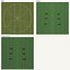 Tropical Plants Collection - 10 Realistic Models