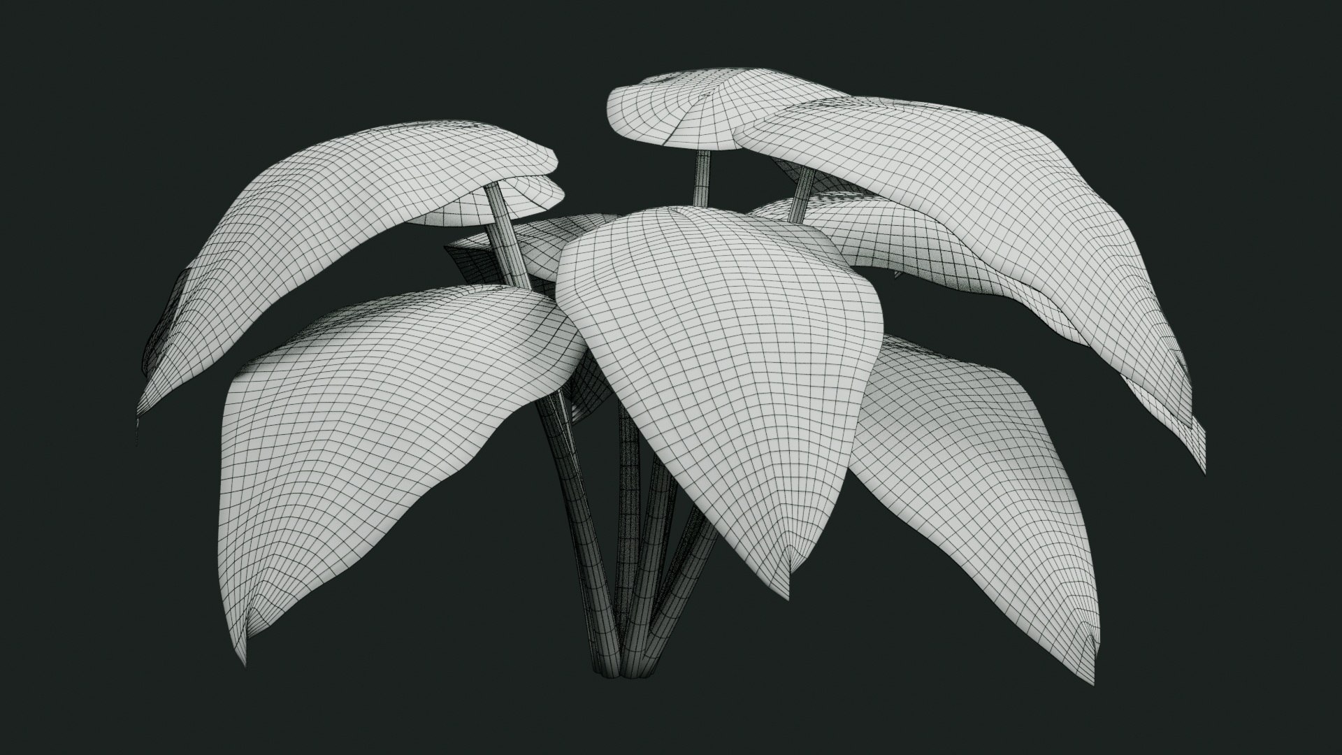 Tropical Plants Collection - 10 Realistic Models model https://p.turbosquid.com/ts-thumb/V9/FRa5eO/iv/wireframe/jpg/1793023020/1920x1080/fit_q87/a8fc806db3ae0aea6e7e3599760836d00bb3606a/wireframe.jpg