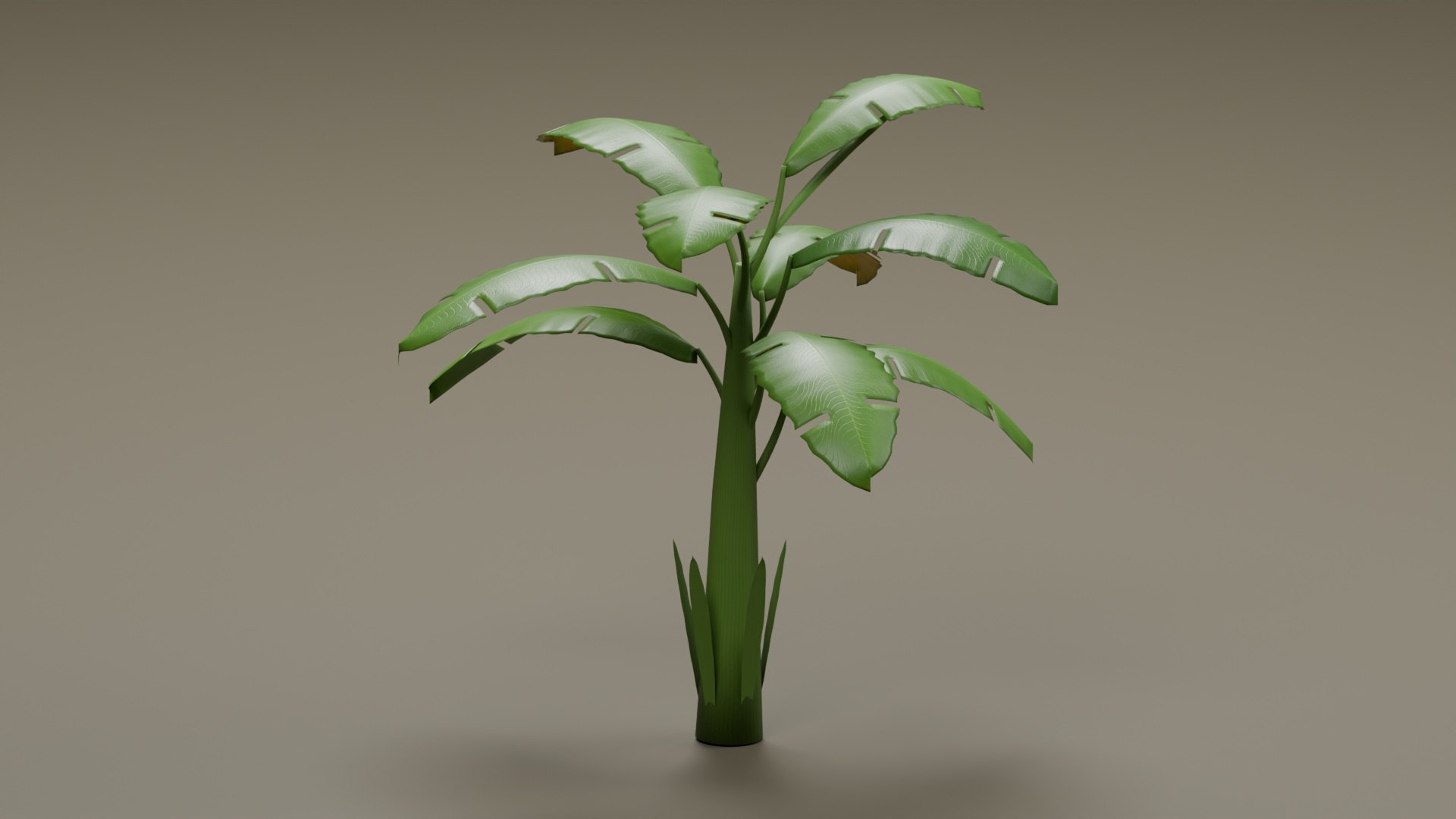 Tropical Plants Collection - 10 Realistic Models model https://p.turbosquid.com/ts-thumb/V9/FRa5eO/lE/product_02/jpg/1793012456/1920x1080/fit_q87/0f56bf6bc8e12dd622b83e16c1e1e2745a1be80b/product_02.jpg