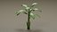 Tropical Plants Collection - 10 Realistic Models