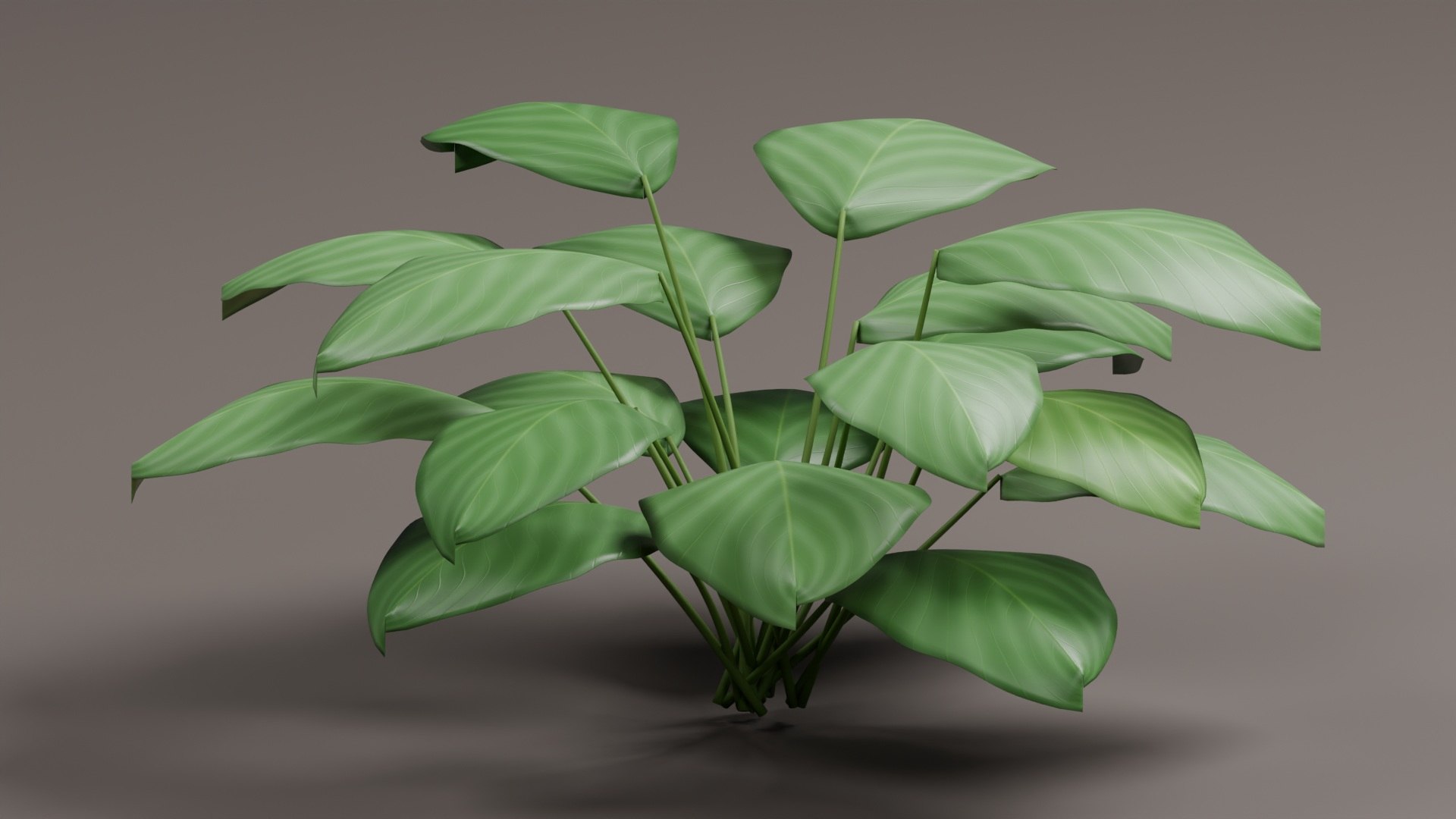 Tropical Plants Collection - 10 Realistic Models model https://p.turbosquid.com/ts-thumb/V9/FRa5eO/lt/product_01/jpg/1793022487/1920x1080/fit_q87/6a9958b81387c58a6d49d82e2bc263f12f91776b/product_01.jpg