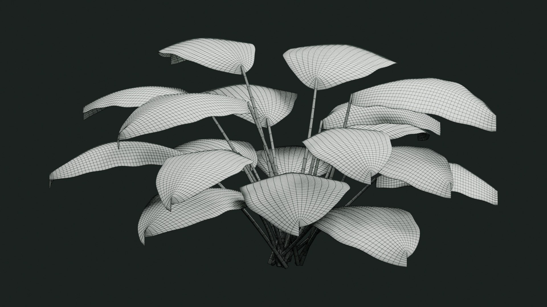 Tropical Plants Collection - 10 Realistic Models model https://p.turbosquid.com/ts-thumb/V9/FRa5eO/np/wireframe/jpg/1793022491/1920x1080/fit_q87/2856649cd2d346b87a39c826e7ecda45bff841b6/wireframe.jpg