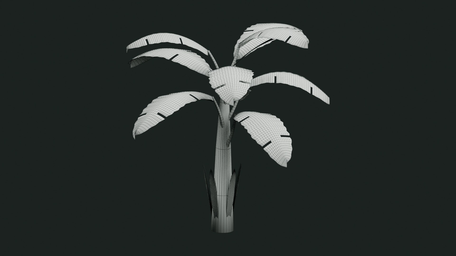 Tropical Plants Collection - 10 Realistic Models model https://p.turbosquid.com/ts-thumb/V9/FRa5eO/tx/wireframe/jpg/1793012458/1920x1080/fit_q87/d102baf517ee552093b18f477a9edd8d62022614/wireframe.jpg