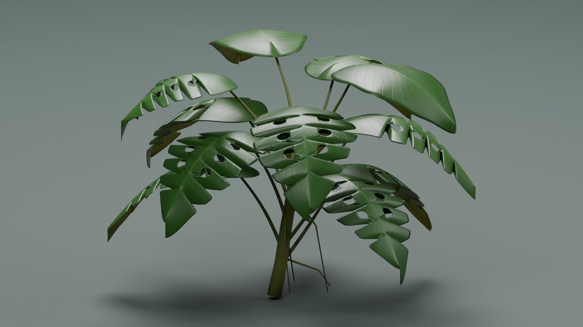 Tropical Plants Collection - 10 Realistic Models model https://p.turbosquid.com/ts-thumb/V9/FRa5eO/tz/product_02/jpg/1793024459/1920x1080/fit_q87/ee2e98453cd1d13bd14aada8f4674dfab0ad9503/product_02.jpg