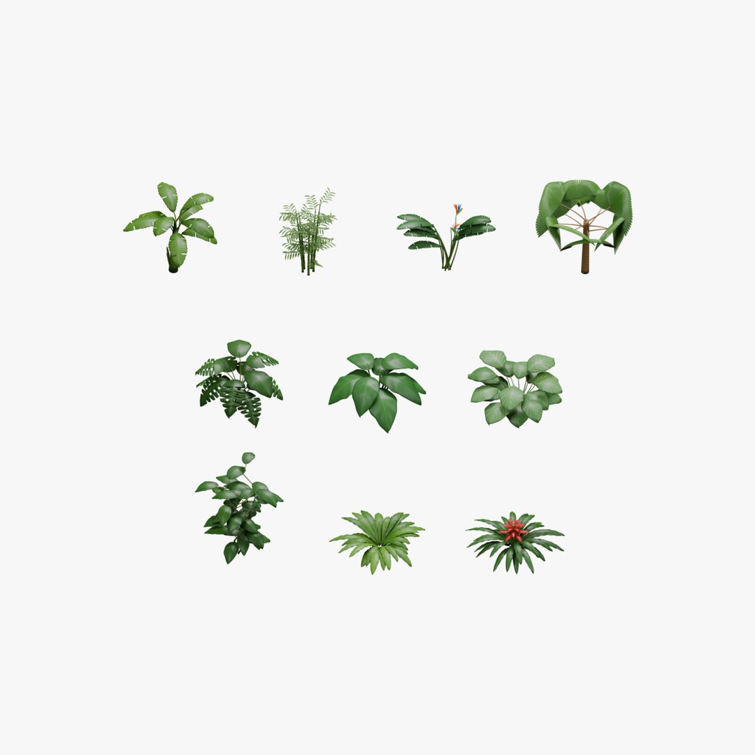 Tropical Plants Collection - 10 Realistic Models model https://p.turbosquid.com/ts-thumb/V9/FRa5eO/u9/search/png/1793026661/1920x1080/fit_q87/8b34ad6f07291adc6bc2a66a0c9d38af3d724a68/search.jpg