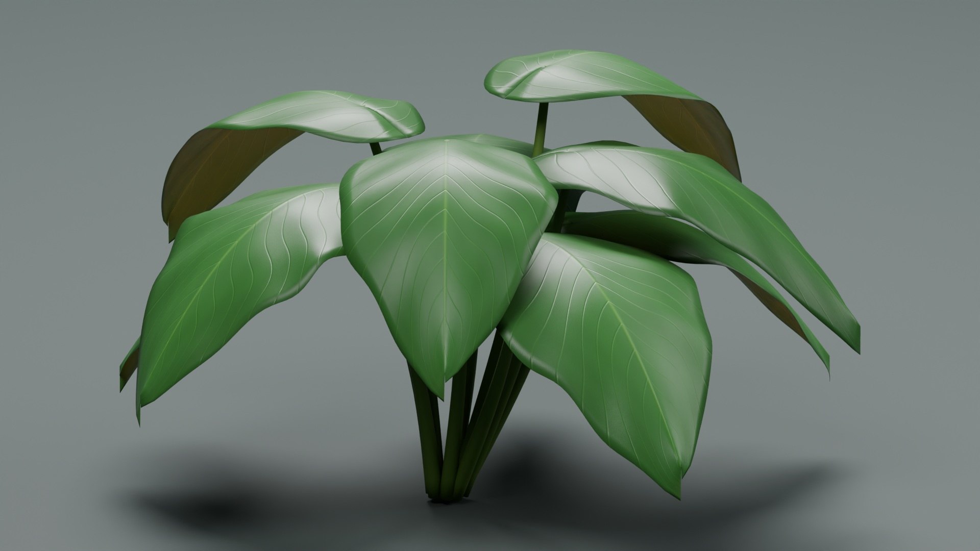 Tropical Plants Collection - 10 Realistic Models model https://p.turbosquid.com/ts-thumb/V9/FRa5eO/vN/product_02/jpg/1793023015/1920x1080/fit_q87/84da414d0c6acd8d58b960ba8132d06986b05f09/product_02.jpg