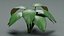 Tropical Plants Collection - 10 Realistic Models