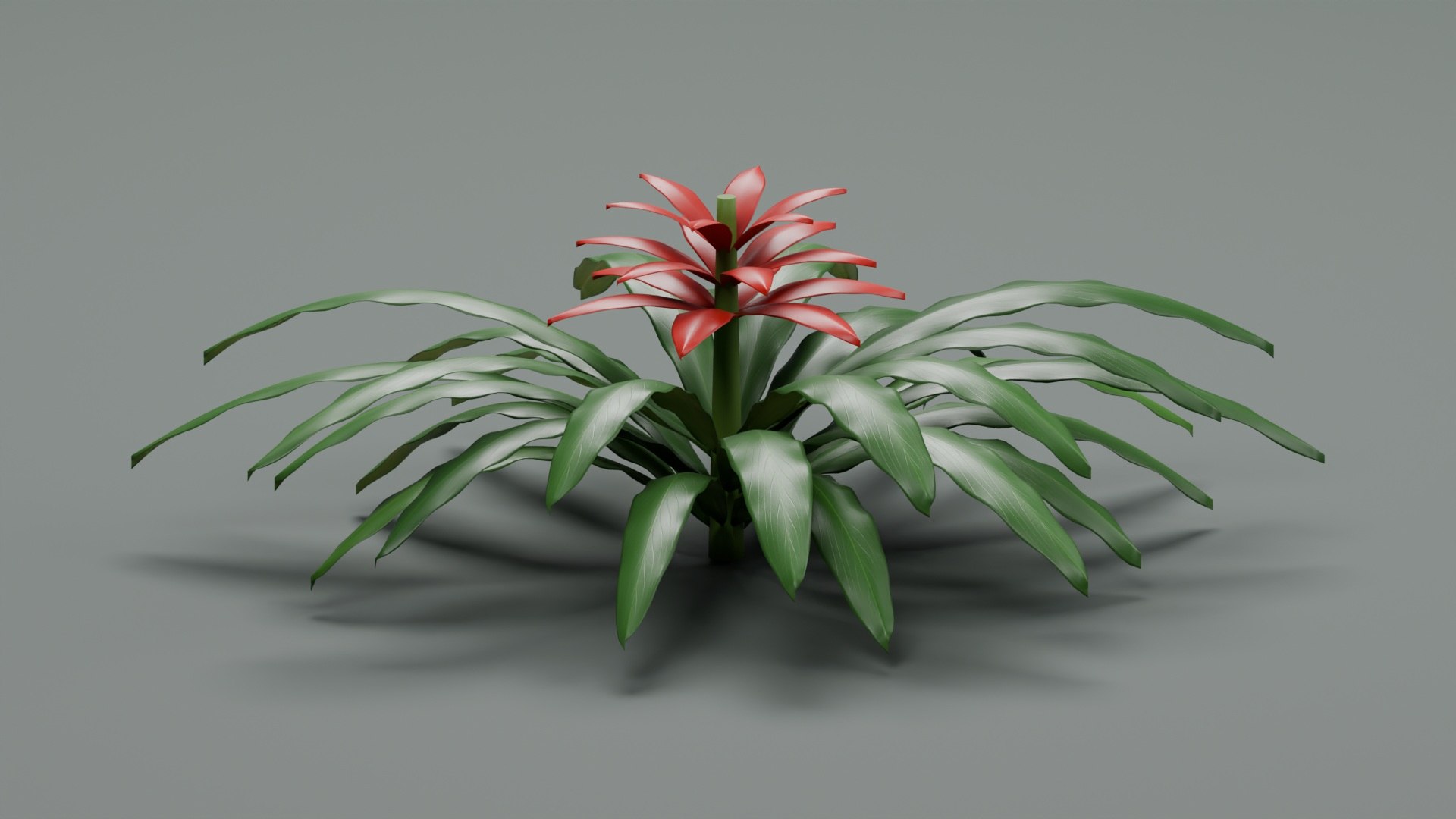Tropical Plants Collection - 10 Realistic Models model https://p.turbosquid.com/ts-thumb/V9/FRa5eO/zC/product_02/jpg/1793021831/1920x1080/fit_q87/e061f6ad62be6933733c287aa8b4a252c49ea70d/product_02.jpg