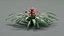 Tropical Plants Collection - 10 Realistic Models