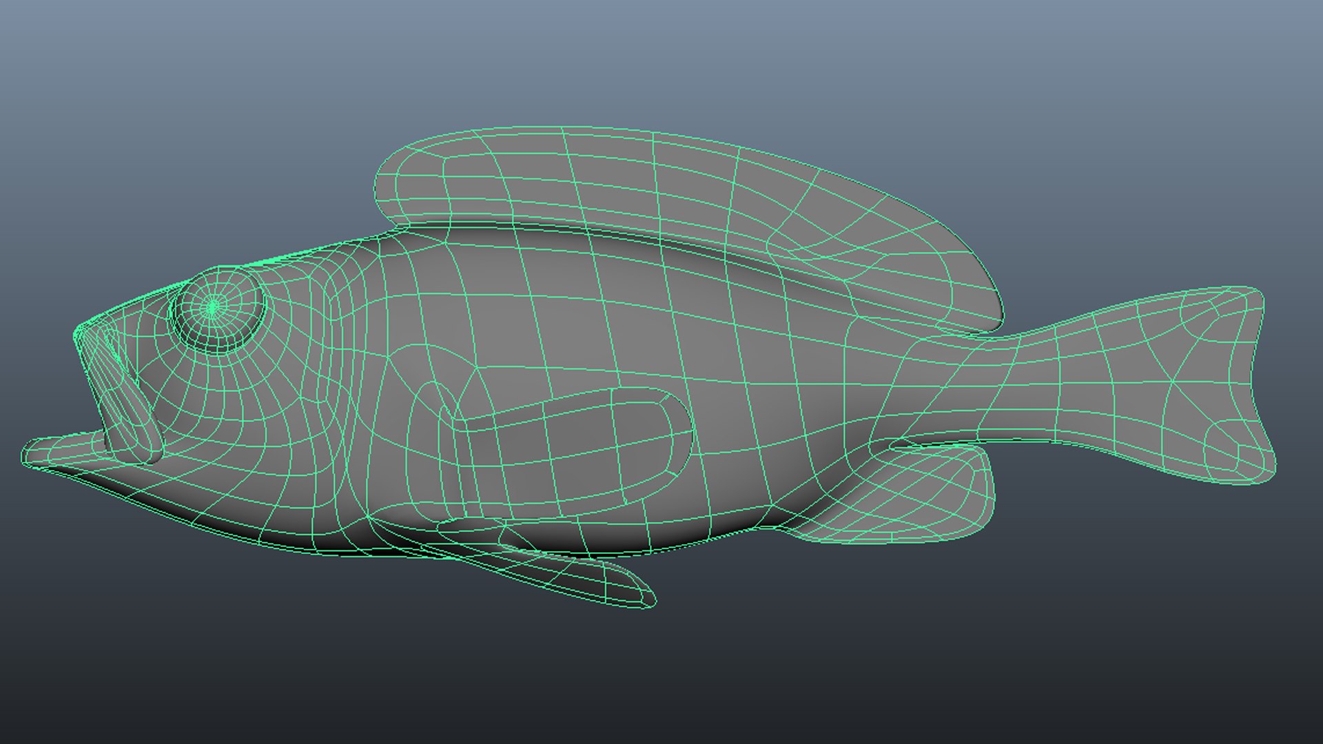 3D rougheye rockfish https://p.turbosquid.com/ts-thumb/V9/Yz4v3R/QP/wire/jpg/1613157407/1920x1080/fit_q87/50c18a579ca92a047e4036c964262eb599e6b46e/wire.jpg