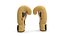 Gants de boxe