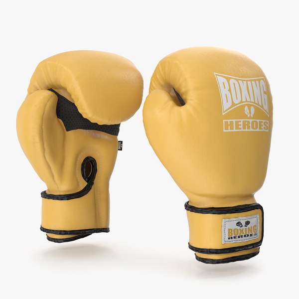 boxing_gloves_camera01.jpg