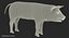 Pig Piglet Pietrain Rigged 3D Model
