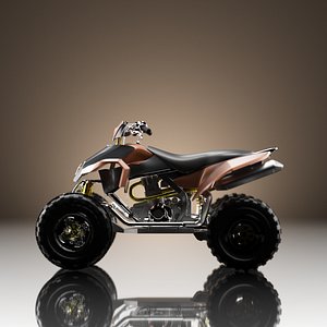 vehicles motorcycle model