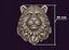 Tête d'ours