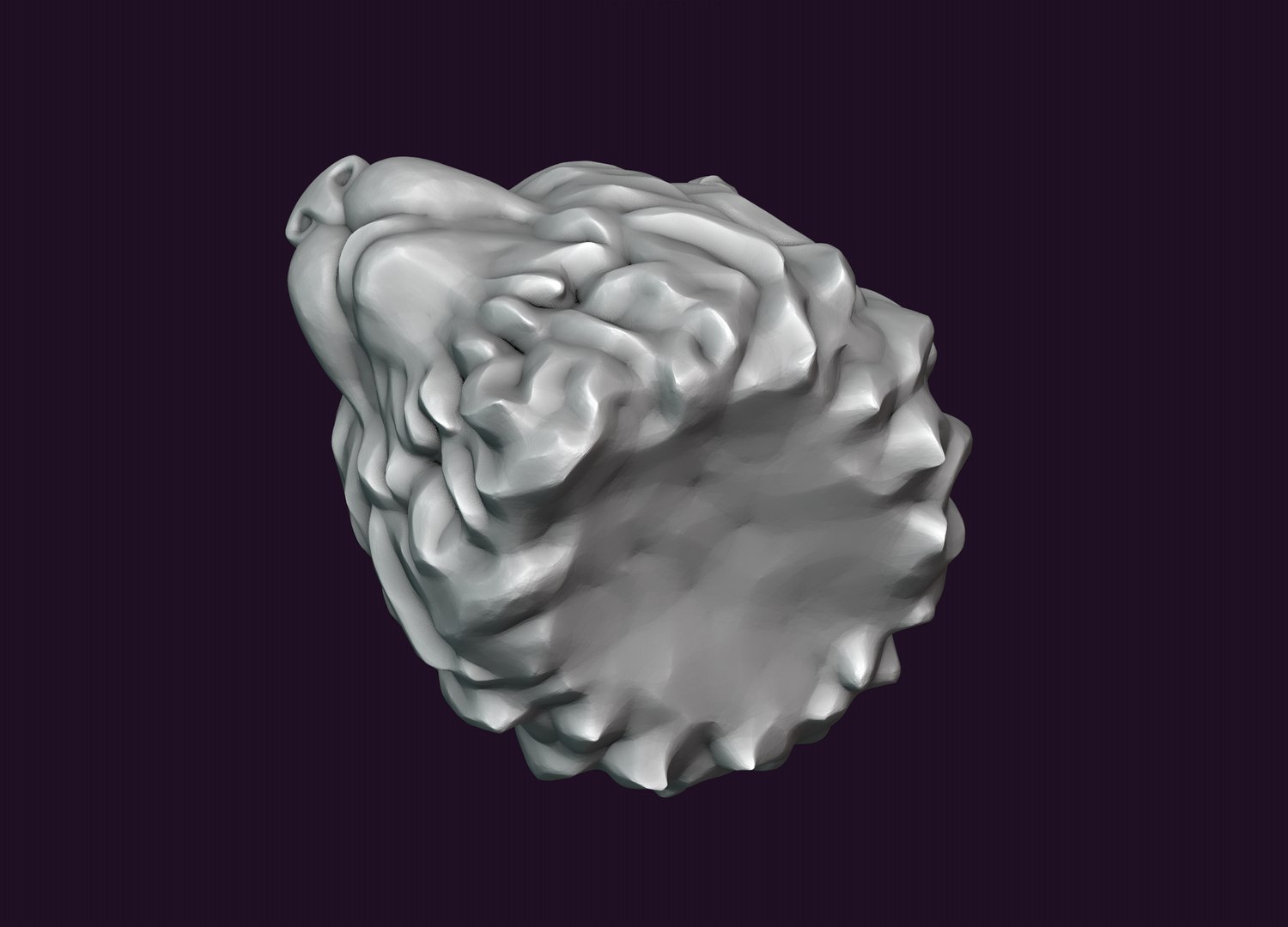 Bear Head model https://p.turbosquid.com/ts-thumb/V9/rNmvP2/vK/9/png/1648742014/1920x1080/fit_q87/fc9f69605fe519ce302c703b64ce517c33418595/9.jpg