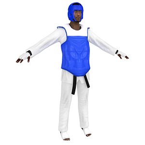 3D olympic taekwondo model