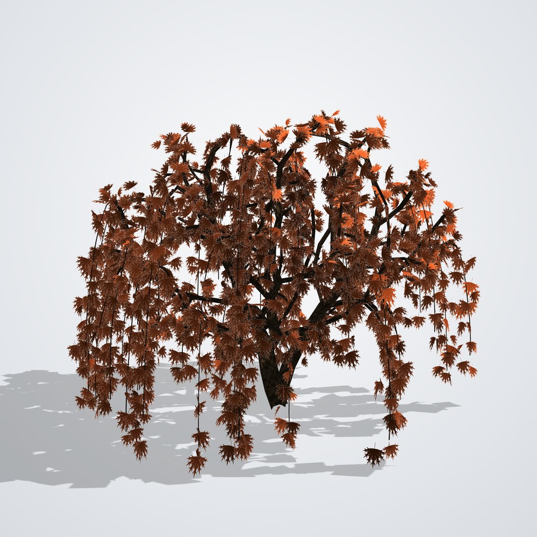 3D model Japanese Laceleaf Maple https://p.turbosquid.com/ts-thumb/V9/uJHYmp/5C/acerpalmatumdissectum_03_back/png/1790115457/1920x1080/fit_q87/3c3007d58e2372c041ec4b27d6d674fb88076495/acerpalmatumdissectum_03_back.jpg